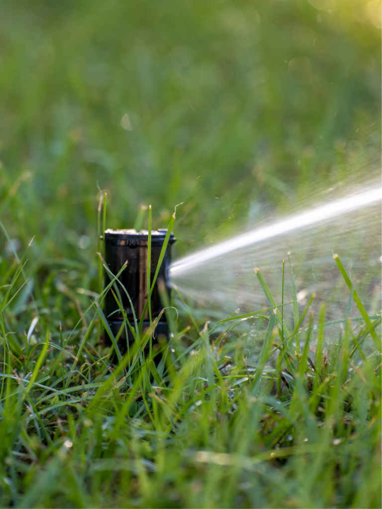 Landscaping Delaware