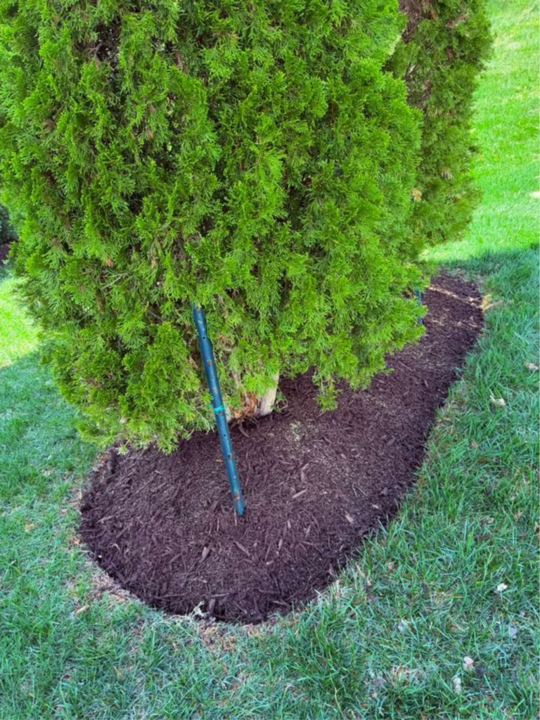 Landscaping Delaware