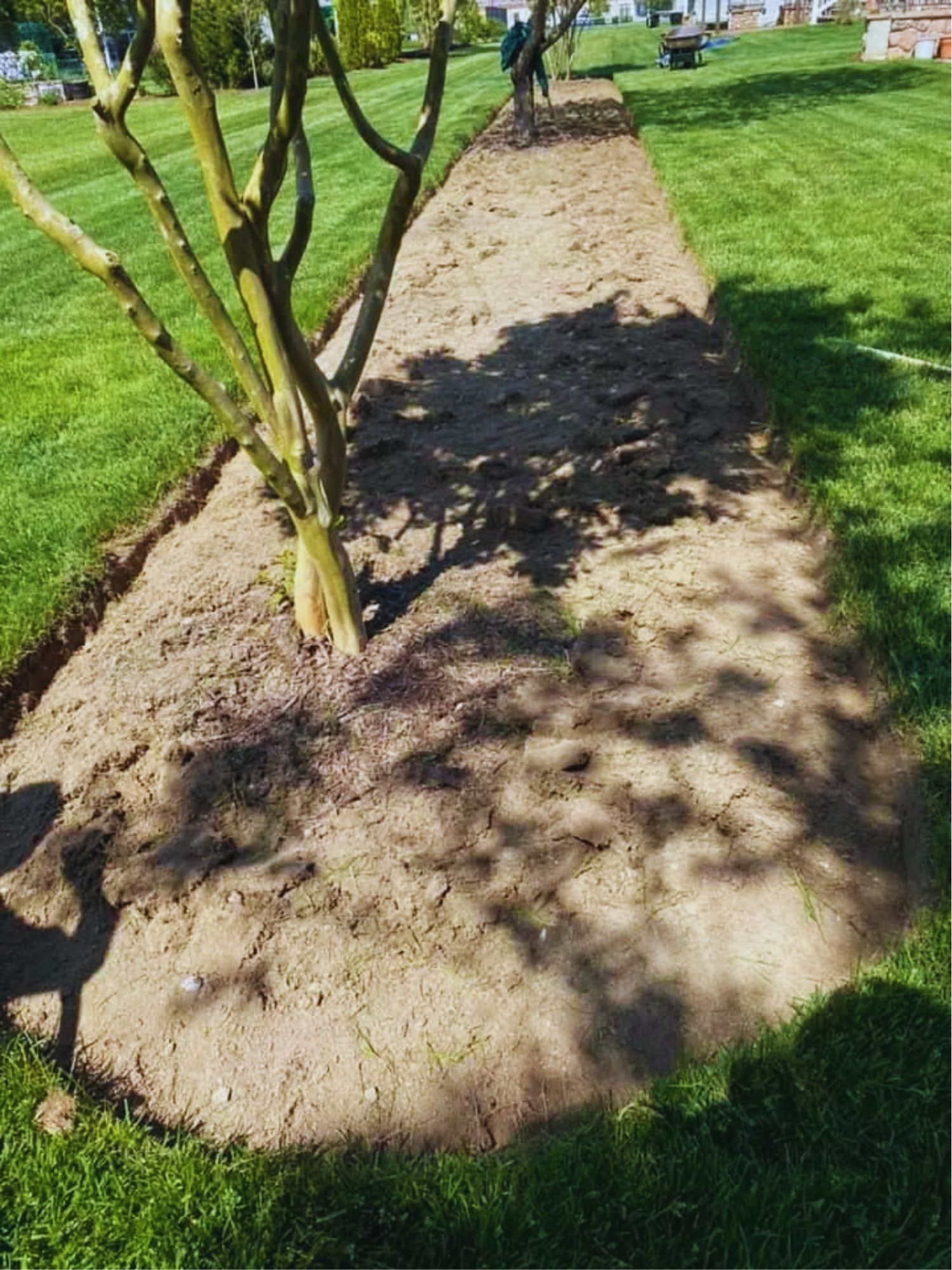 Landscaping Delaware