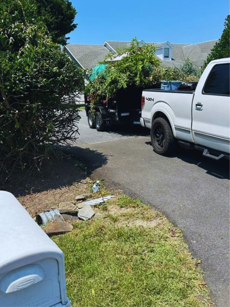 Landscaping Delaware